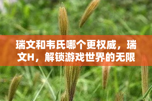 瑞文和韦氏哪个更权威，瑞文H，解锁游戏世界的无限可能