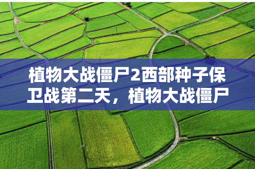 植物大战僵尸2西部种子保卫战第二天,植物大战僵尸2,西部种子保卫战第二章 植物大战僵尸2西部种子保卫战第二天,植物大战僵尸2,西部种子保卫战第二章