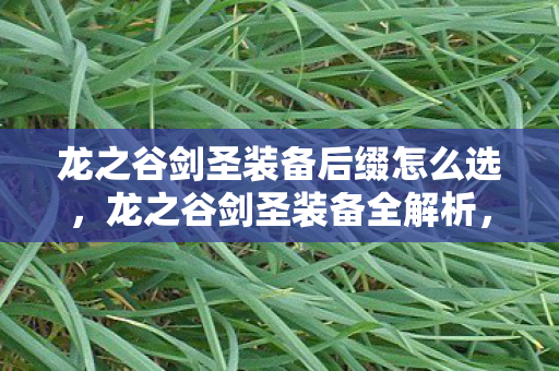 龙之谷剑圣装备后缀怎么选，龙之谷剑圣装备全解析，打造最强剑术大师