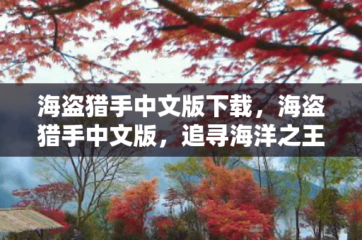 海盗猎手中文版下载，海盗猎手中文版，追寻海洋之王的冒险之旅