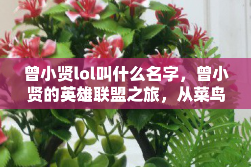 曾小贤lol叫什么名字,曾小贤的英雄联盟之旅,从菜鸟到高手的蜕变 曾小贤lol叫什么名字,曾小贤的英雄联盟之旅,从菜鸟到高手的蜕变