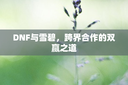 DNF与雪碧，跨界合作的双赢之道