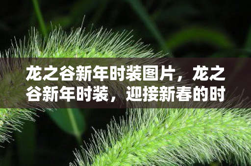 龙之谷新年时装图片，龙之谷新年时装，迎接新春的时尚潮流