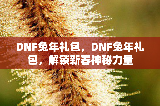 DNF兔年礼包,DNF兔年礼包,解锁新春神秘力量 DNF兔年礼包,DNF兔年礼包,解锁新春神秘力量