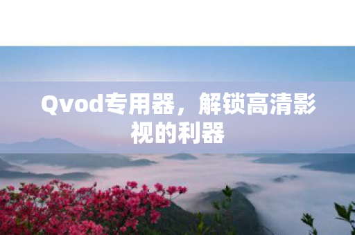 Qvod专用器，解锁高清影视的利器