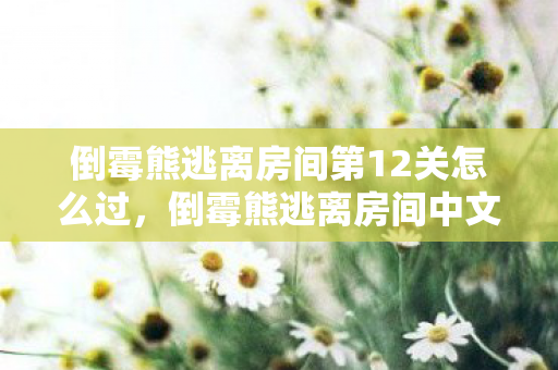 倒霉熊逃离房间第12关怎么过，倒霉熊逃离房间中文版，一场趣味横生的解谜冒险