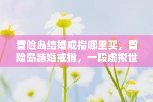 冒险岛结婚戒指哪里买，冒险岛结婚戒指，一段虚拟世界的情缘见证