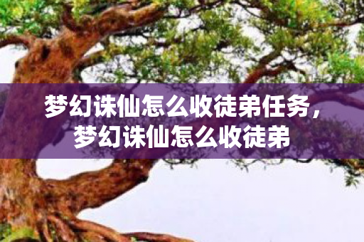 梦幻诛仙怎么收徒弟任务，梦幻诛仙怎么收徒弟