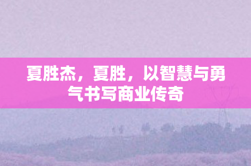 夏胜杰，夏胜，以智慧与勇气书写商业传奇