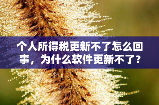 个人所得税更新不了怎么回事，为什么软件更新不了？原因与解决方法详解