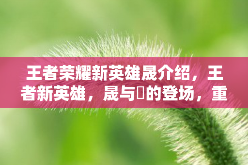 王者荣耀新英雄晟介绍，王者新英雄，晟与暃的登场，重塑峡谷格局