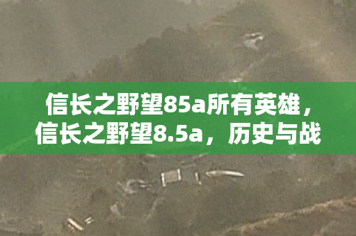 信长之野望85a所有英雄，信长之野望8.5a，历史与战略的交响曲