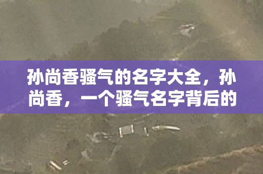 孙尚香骚气的名字大全，孙尚香，一个骚气名字背后的故事