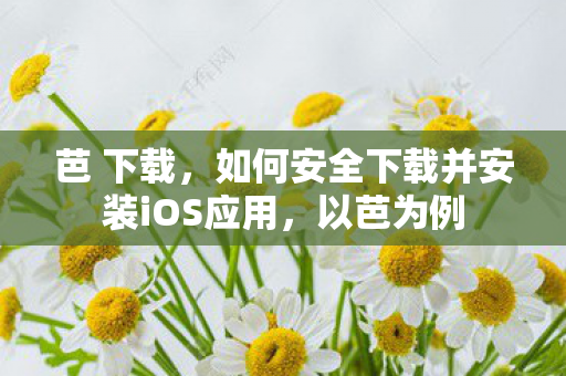 芭 下载，如何安全下载并安装iOS应用，以芭为例