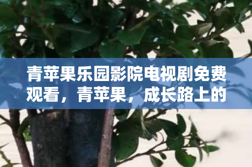 青苹果乐园影院电视剧免费观看，青苹果，成长路上的青涩与甜蜜