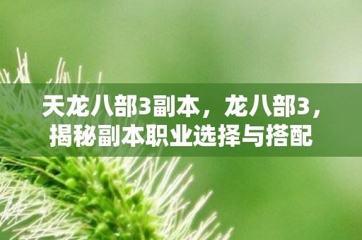 揭秘副本职业选择与搭配图片