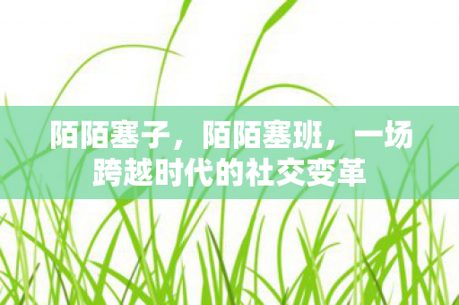 一场跨越时代的社交变革图片