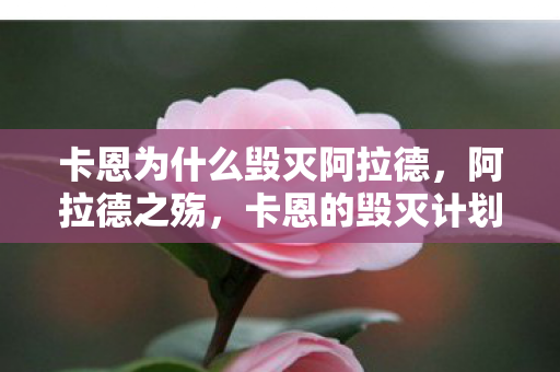 卡恩为什么毁灭阿拉德图片