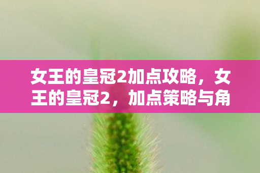 女王的皇冠2加点攻略图片
