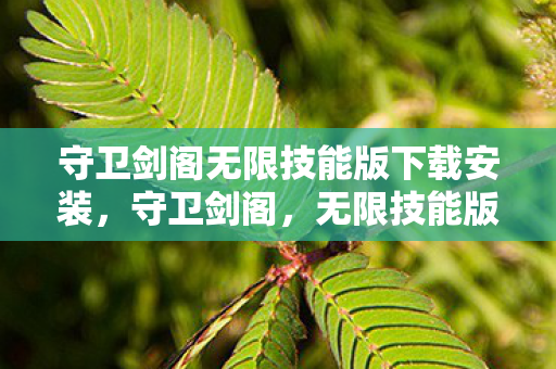 守卫剑阁无限技能版下载安装，守卫剑阁，无限技能版的传奇之旅