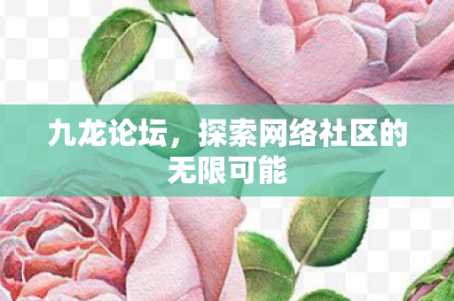 九龙论坛，探索网络社区的无限可能