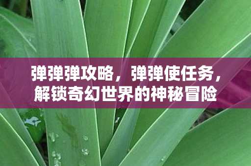 弹弹弹攻略，弹弹使任务，解锁奇幻世界的神秘冒险