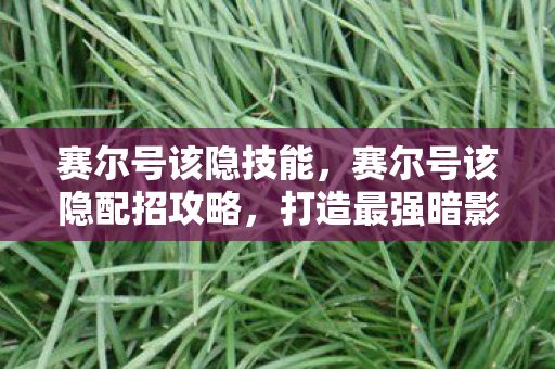 赛尔号该隐技能，赛尔号该隐配招攻略，打造最强暗影战士