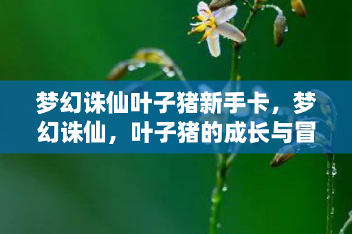 梦幻诛仙叶子猪新手卡，梦幻诛仙，叶子猪的成长与冒险