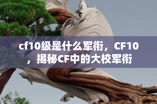 cf10级是什么军衔，CF10，揭秘CF中的大校军衔
