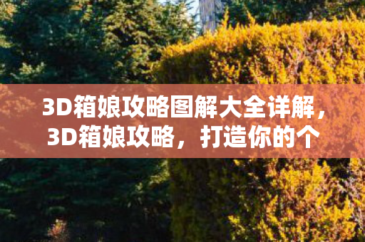 3D箱娘攻略图解大全详解,3D箱娘攻略,打造你的个性化虚拟伙伴 3D箱娘攻略图解大全详解,3D箱娘攻略,打造你的个性化虚拟伙伴