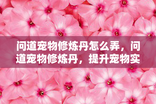问道宠物修炼丹怎么弄,问道宠物修炼丹,提升宠物实力的神秘法宝 问道宠物修炼丹怎么弄,问道宠物修炼丹,提升宠物实力的神秘法宝