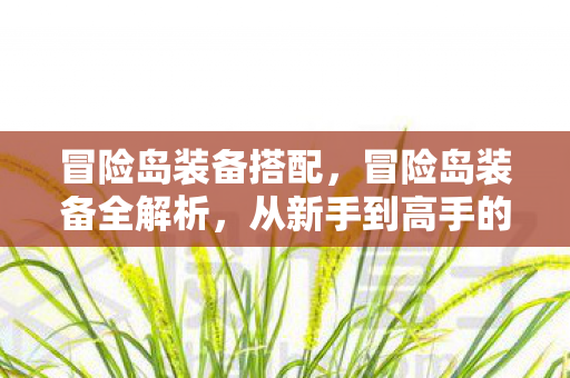 冒险岛装备搭配，冒险岛装备全解析，从新手到高手的装备进阶之路