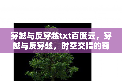 穿越与反穿越txt百度云图片