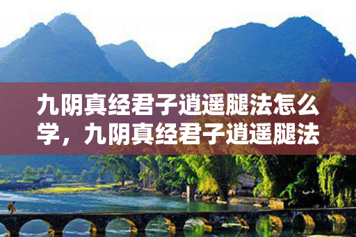 九阴真经君子逍遥腿法怎么学，九阴真经君子逍遥腿法，武侠世界中的优雅杀招