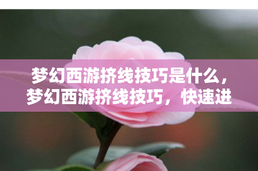 梦幻西游挤线技巧是什么，梦幻西游挤线技巧，快速进入游戏的秘诀