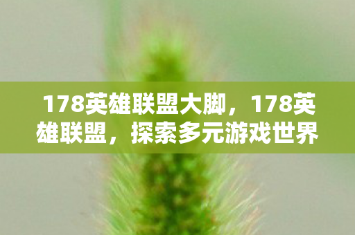 178英雄联盟大脚，178英雄联盟，探索多元游戏世界的奇妙之旅