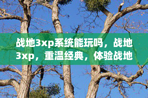 战地3xp系统能玩吗，战地3xp，重温经典，体验战地风云