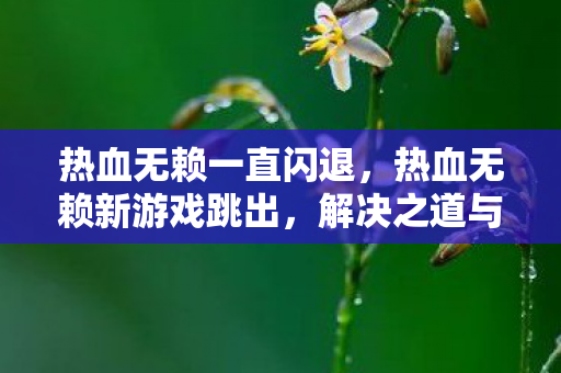 热血无赖一直闪退，热血无赖新游戏跳出，解决之道与游戏体验提升