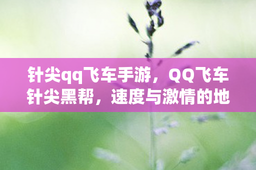 针尖qq飞车手游，QQ飞车针尖黑帮，速度与激情的地下赛车传说