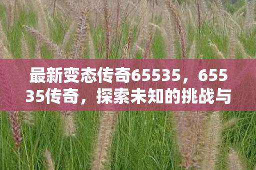 最新变态传奇65535,65535传奇,探索未知的挑战与荣耀 最新变态传奇65535,65535传奇,探索未知的挑战与荣耀