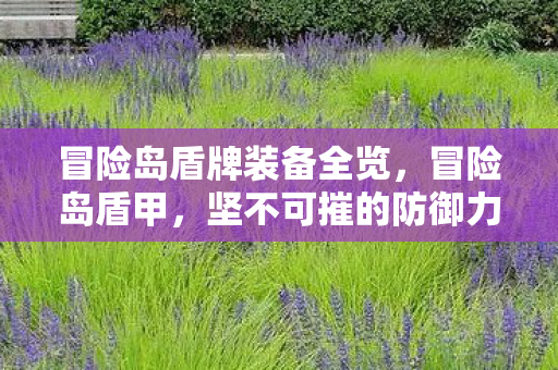 冒险岛盾牌装备全览，冒险岛盾甲，坚不可摧的防御力量