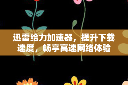 迅雷给力加速器,提升下载速度,畅享高速网络体验 迅雷给力加速器,提升下载速度,畅享高速网络体验