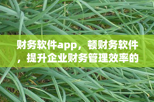 财务软件app,顿财务软件,提升企业财务管理效率的智能工具 财务软件app,顿财务软件,提升企业财务管理效率的智能工具