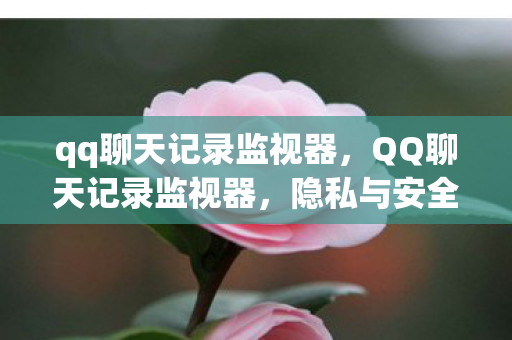 qq聊天记录监视器图片