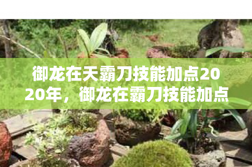 御龙在天霸刀技能加点2020年,御龙在霸刀技能加点攻略,打造最强战斗力的关键 御龙在天霸刀技能加点2020年,御龙在霸刀技能加点攻略,打造最强战斗力的关键