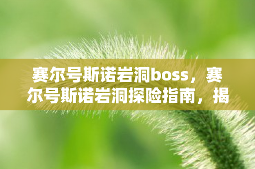 赛尔号斯诺岩洞boss,赛尔号斯诺岩洞探险指南,揭秘隐藏的地底迷宫 赛尔号斯诺岩洞boss,赛尔号斯诺岩洞探险指南,揭秘隐藏的地底迷宫