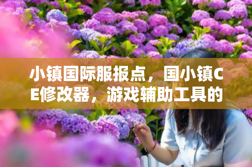 小镇国际服报点,国小镇CE修改器,游戏辅助工具的新选择 小镇国际服报点,国小镇CE修改器,游戏辅助工具的新选择