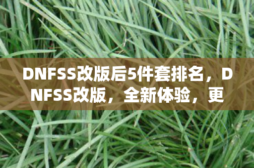 DNFSS改版后5件套排名图片