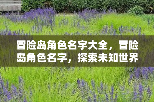 冒险岛角色名字大全，冒险岛角色名字，探索未知世界的英雄之旅