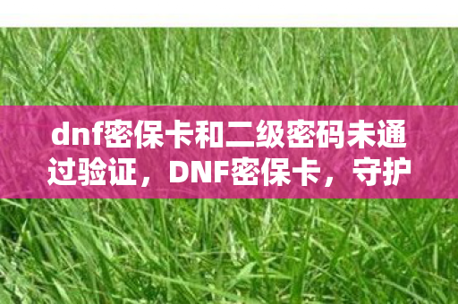 dnf密保卡和二级密码未通过验证图片